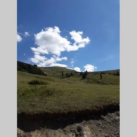 Dans Station De Aux Pieds Des Pistes 瑟洛内